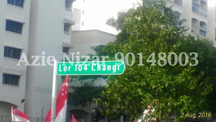Lorong 104 Changi (D15), Terrace #125748142
